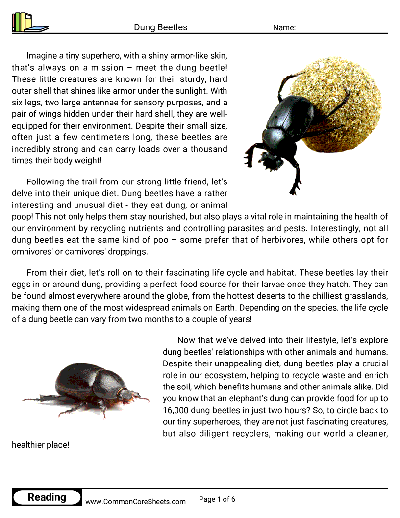  - dung-beetles worksheet