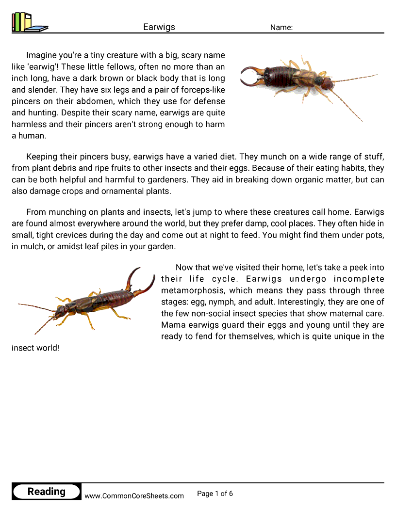  - earwigs worksheet
