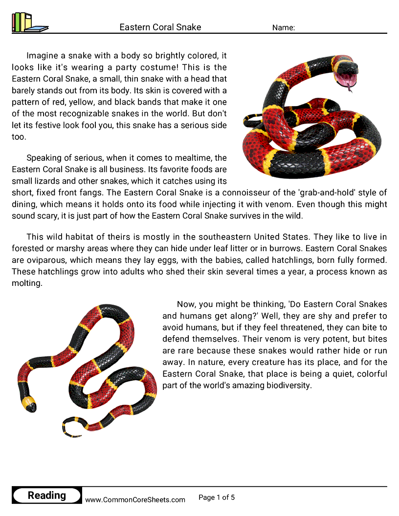 Reading Comprehension Insects And Spiders Worksheets - eastern-coral-snake worksheet