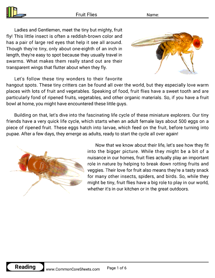  - fruit-flies worksheet