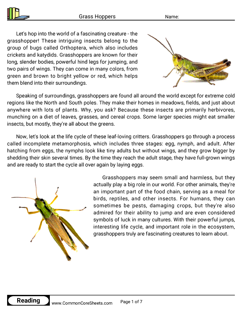  - grass-hoppers worksheet