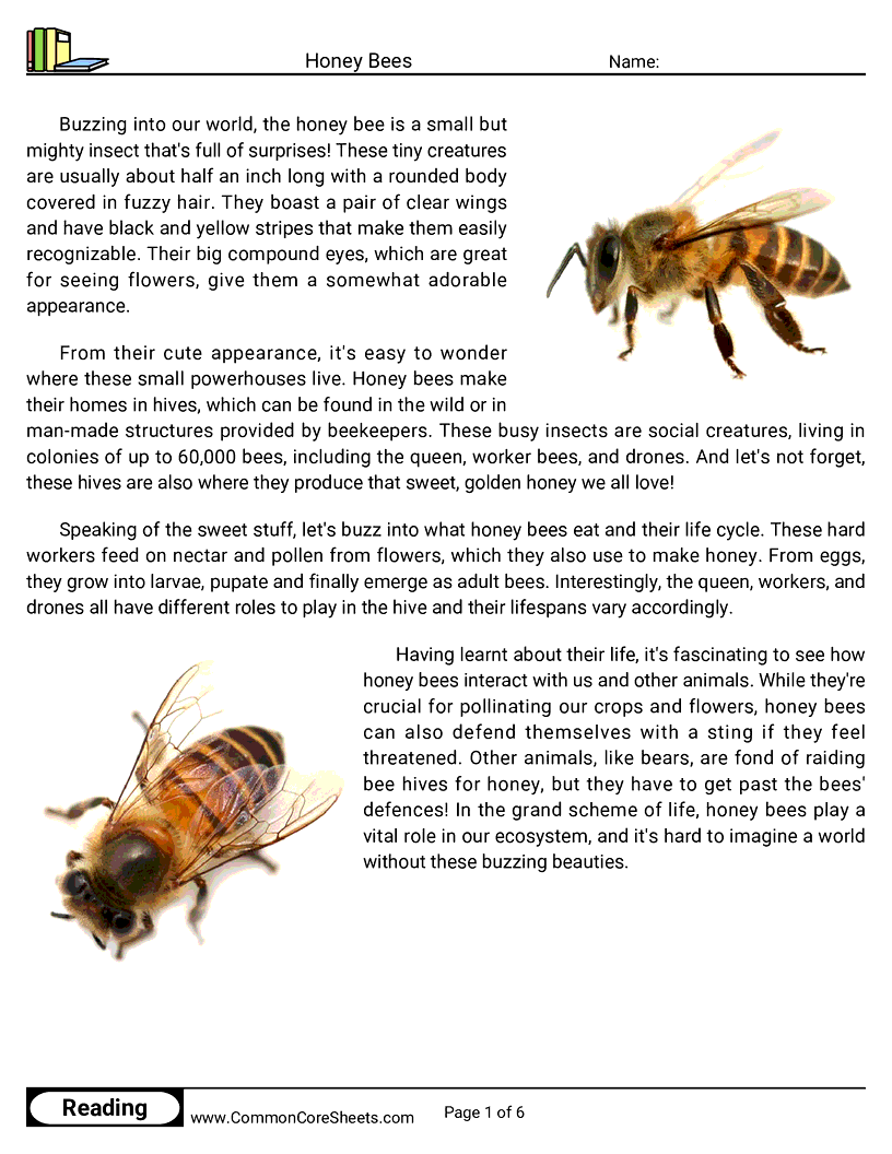  - honey-bees worksheet