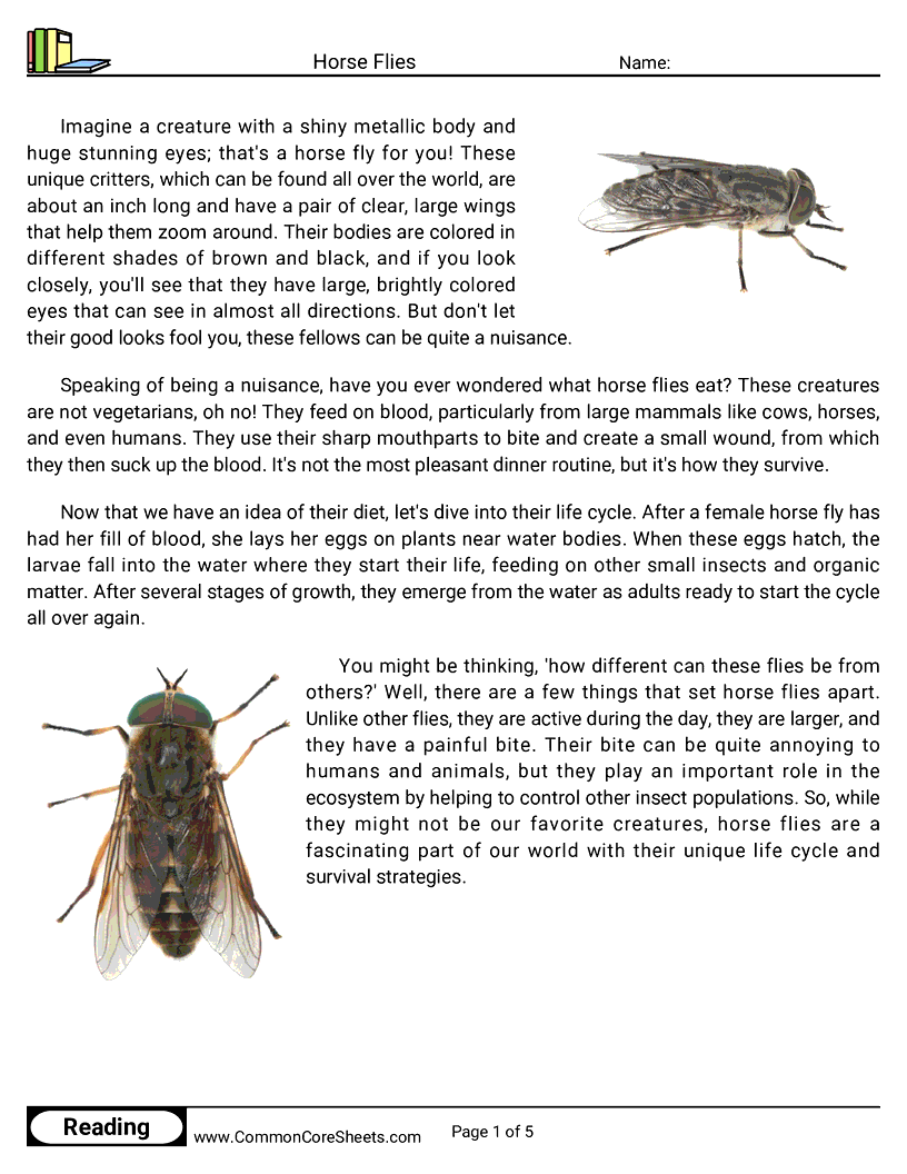  - horse-flies worksheet