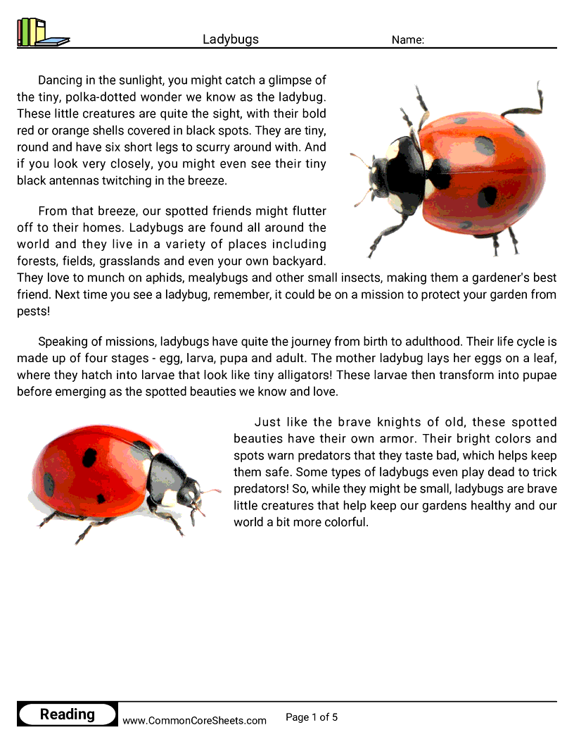  - ladybugs worksheet