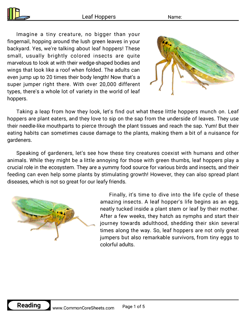  - leaf-hoppers worksheet