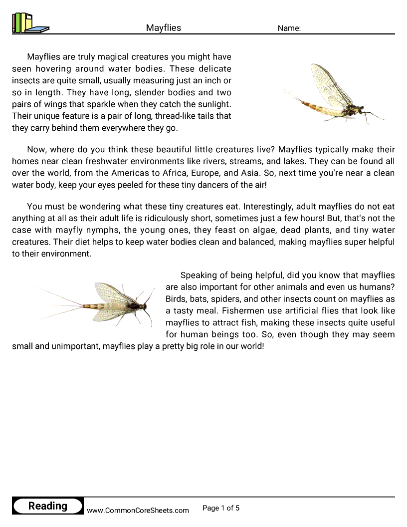  - mayflies worksheet