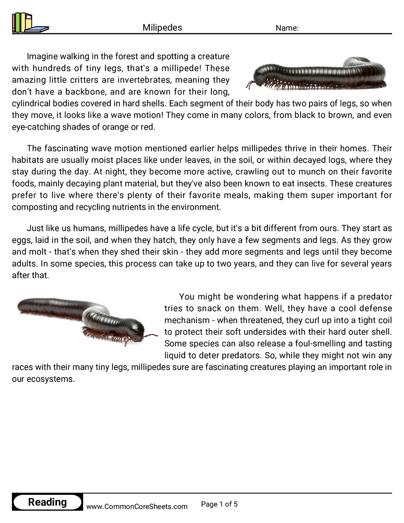  - milipedes worksheet
