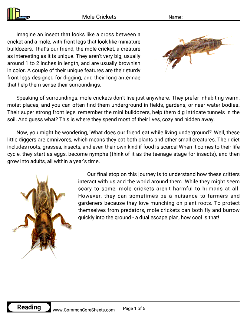  - mole-crickets worksheet