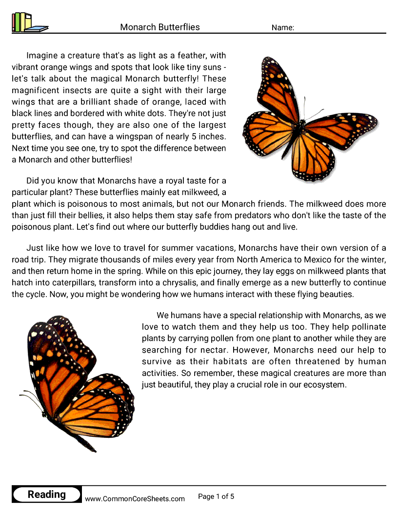  - monarch-butterflies worksheet