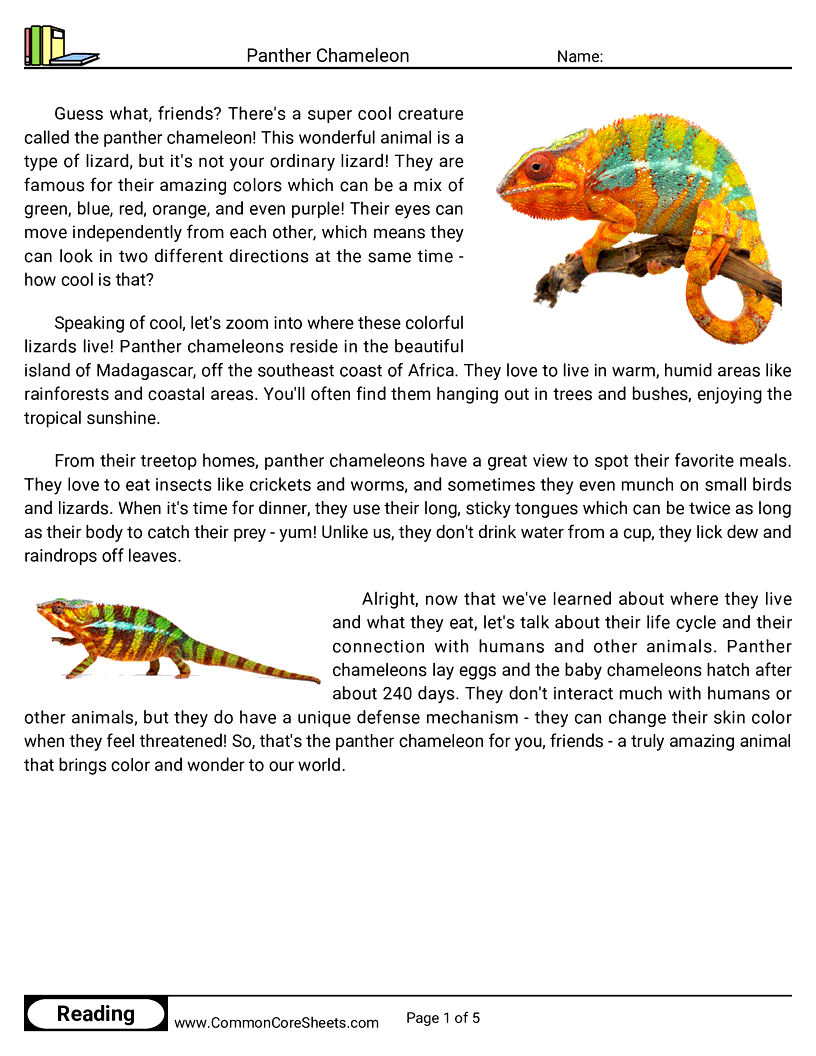 Reading Comprehension Insects And Spiders Worksheets - panther-chameleon worksheet