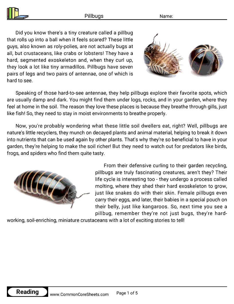  - pillbugs worksheet
