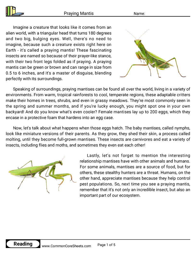  - praying-mantis worksheet
