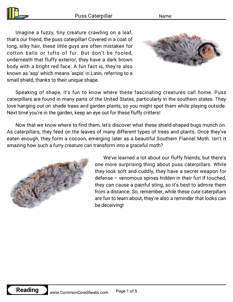  - puss-caterpillar worksheet