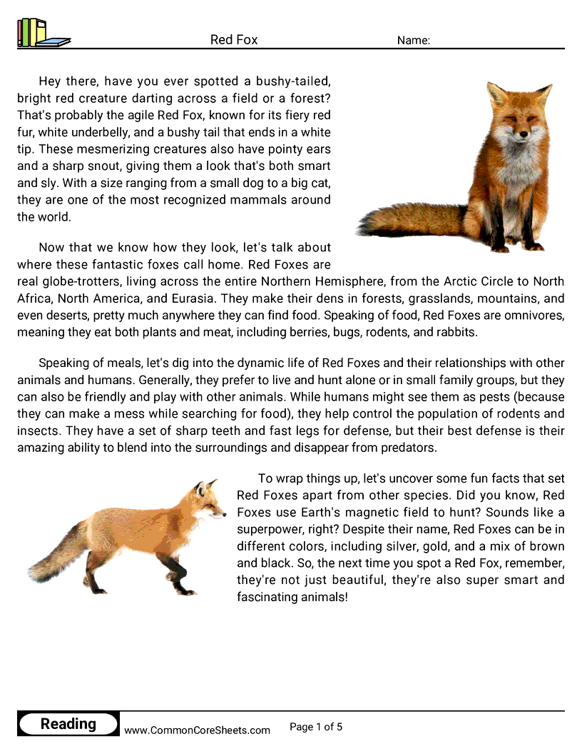 Reading Comprehension Mammals - red-fox worksheet