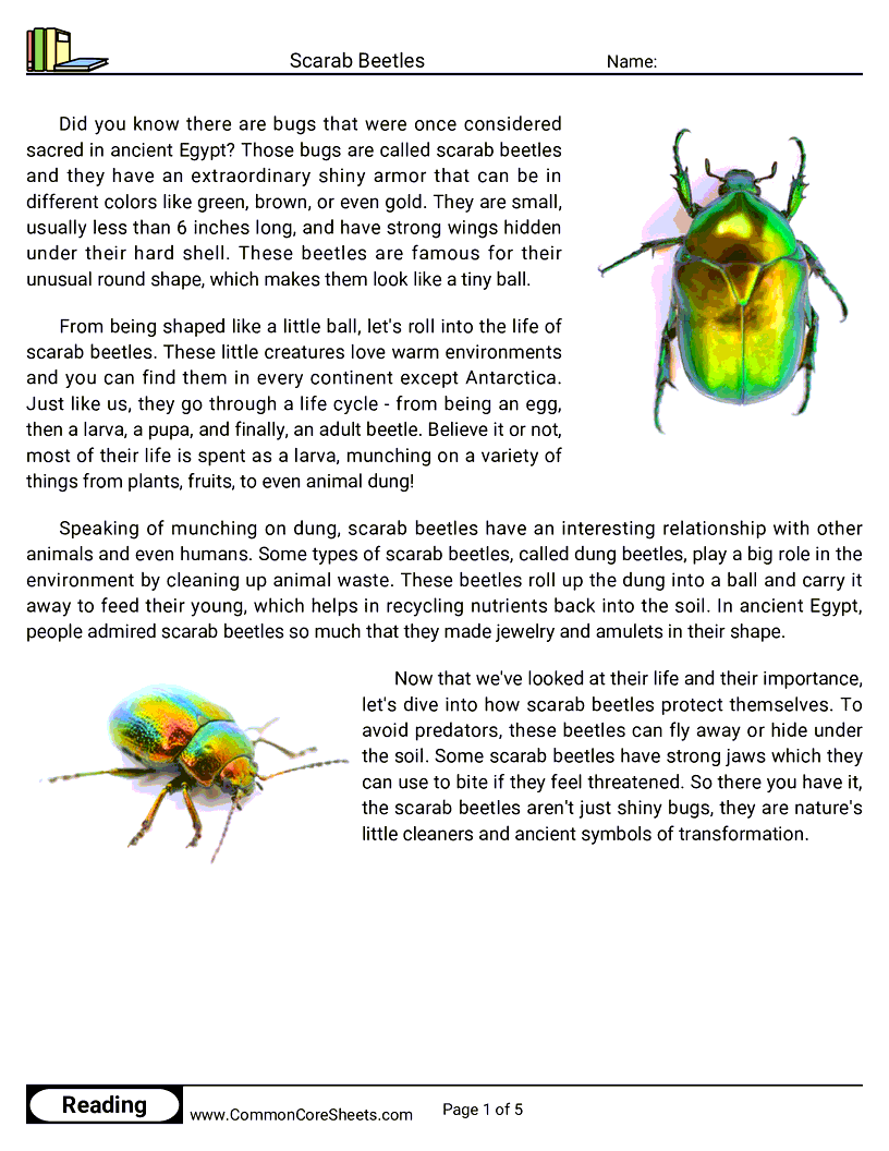  - scarab-beetles worksheet
