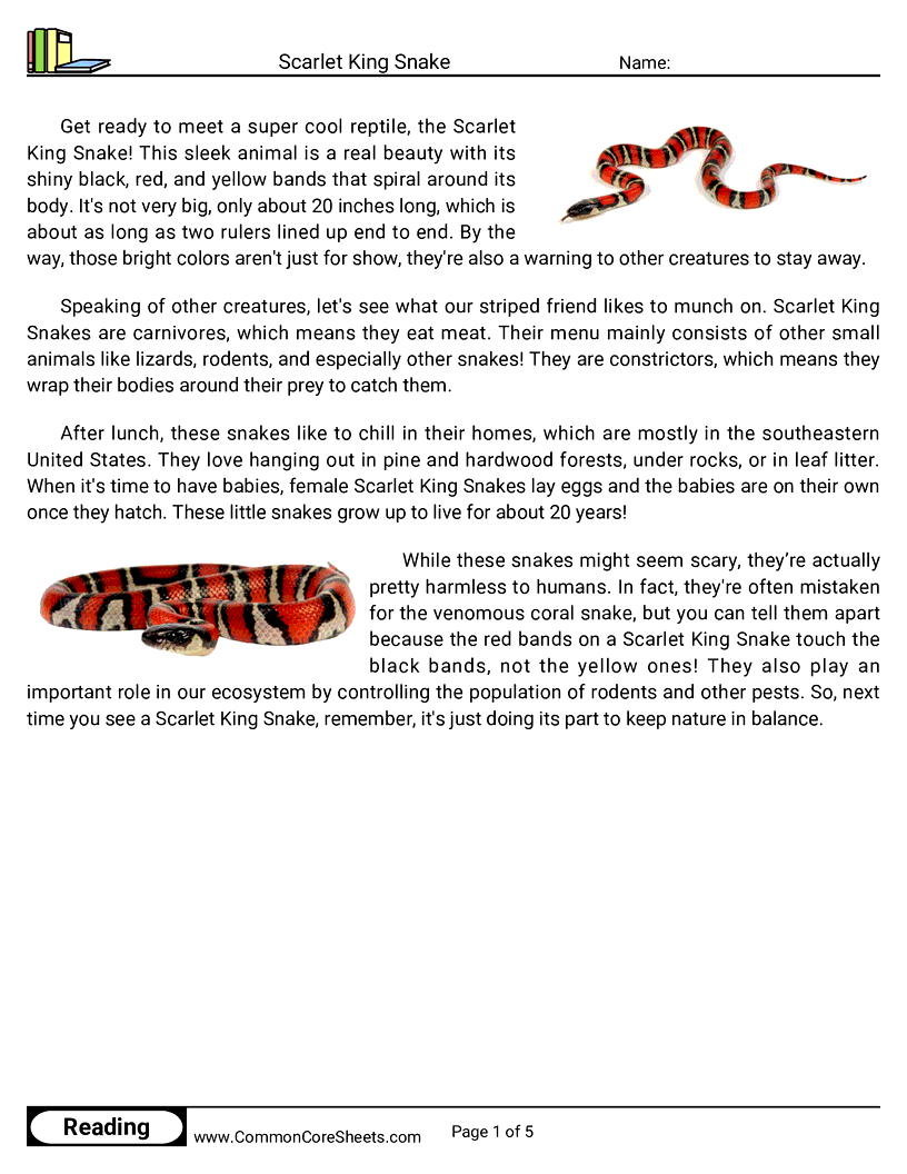 Reading Comprehension Insects And Spiders Worksheets - scarlet-king-snake worksheet