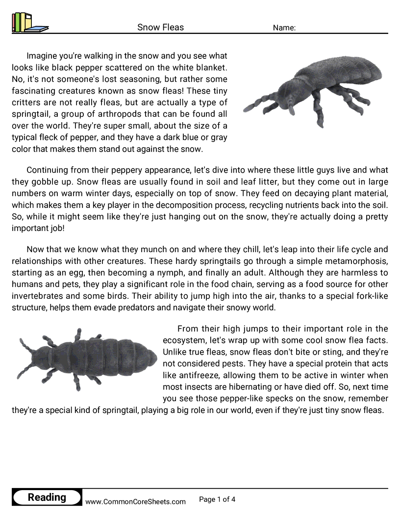  - snow-fleas worksheet