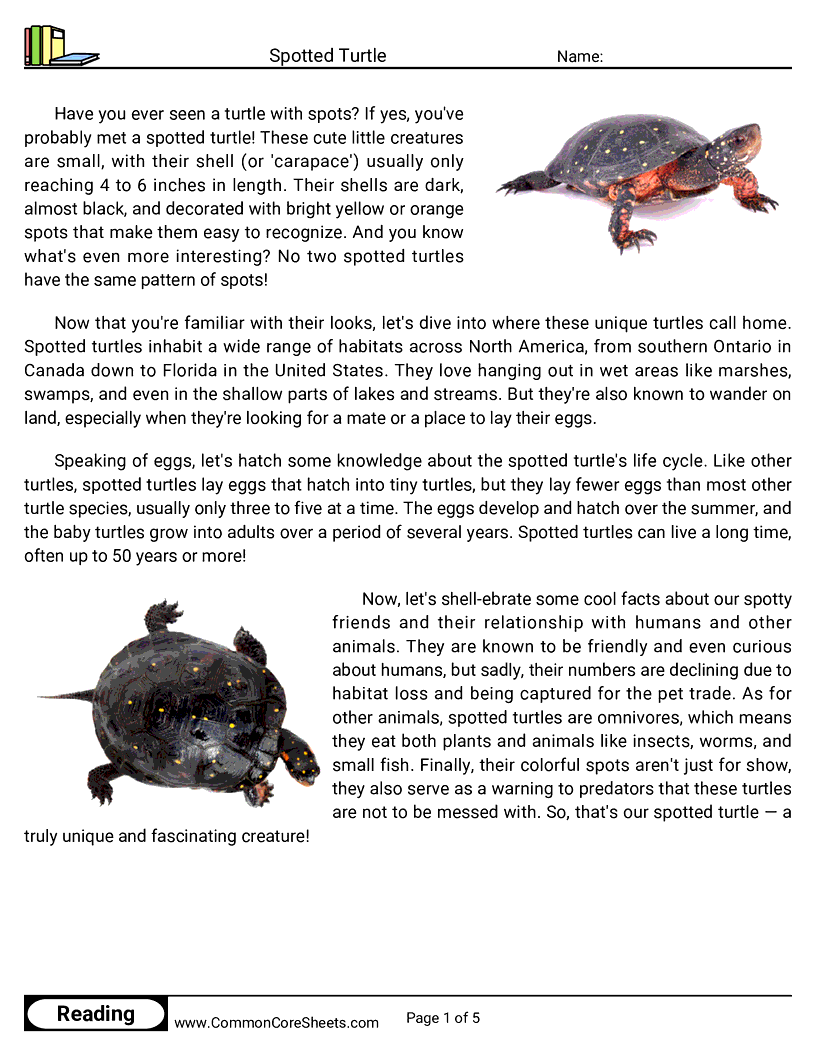 Reading Comprehension Insects And Spiders Worksheets - spotted-turtle worksheet