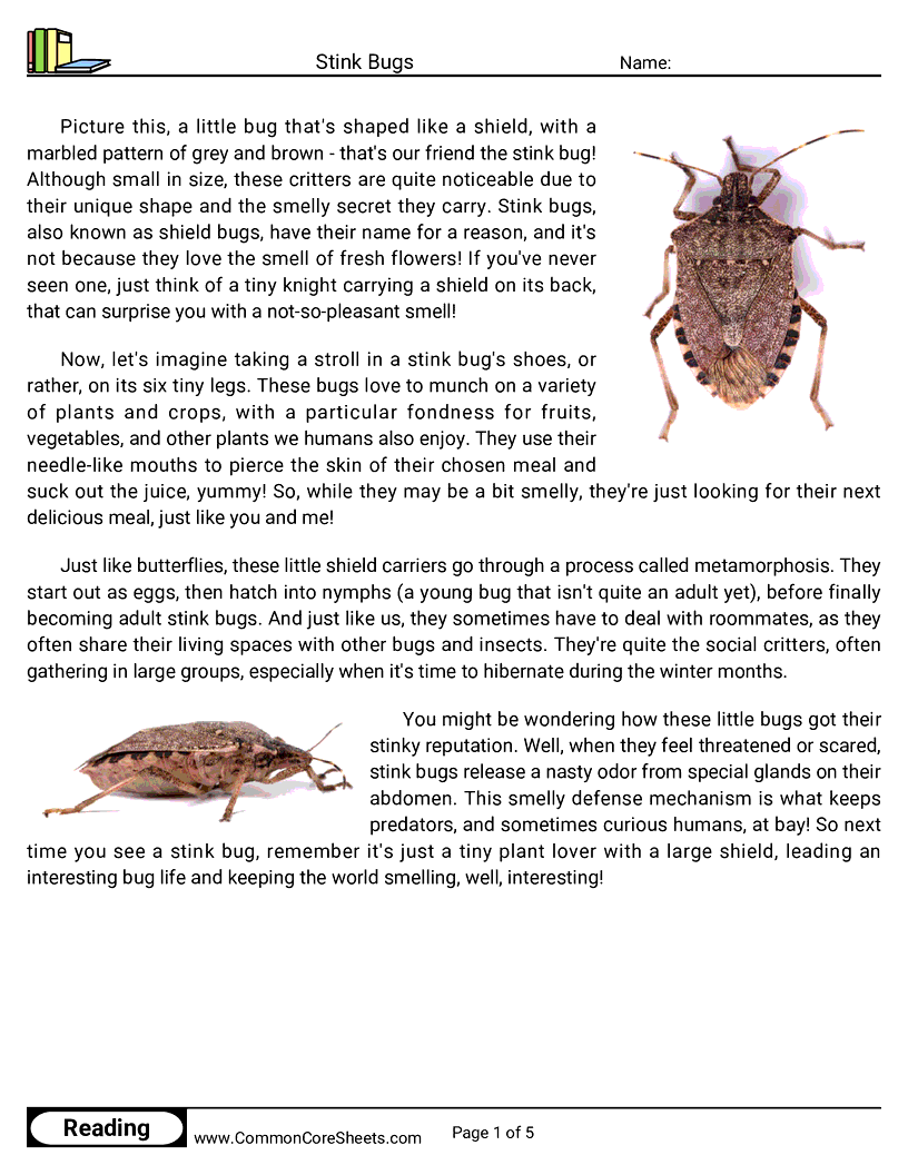  - stink-bugs worksheet