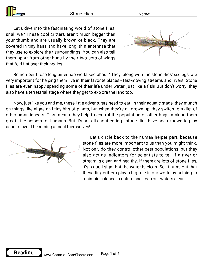  - stone-flies worksheet