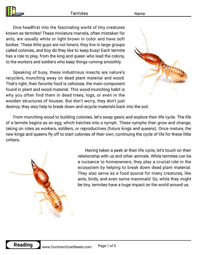  - termites worksheet