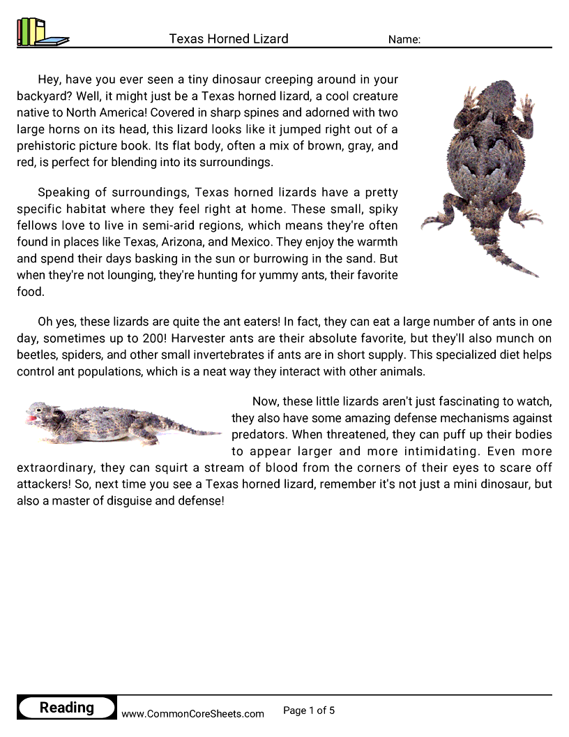 Reading Comprehension Insects And Spiders Worksheets - texas-horned-lizard worksheet