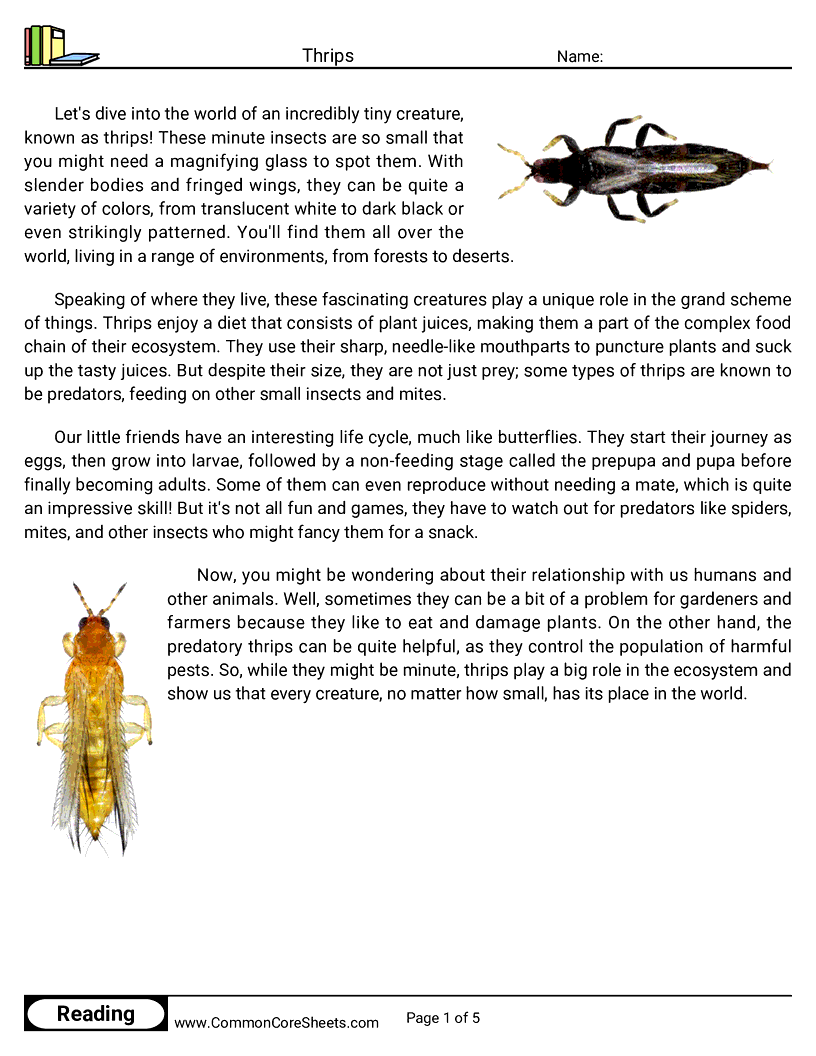  - thrips worksheet