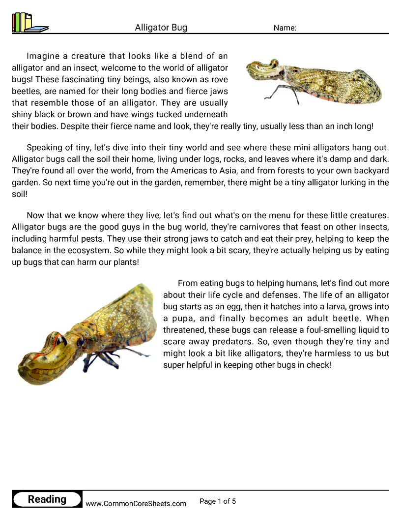  - alligator-bug worksheet
