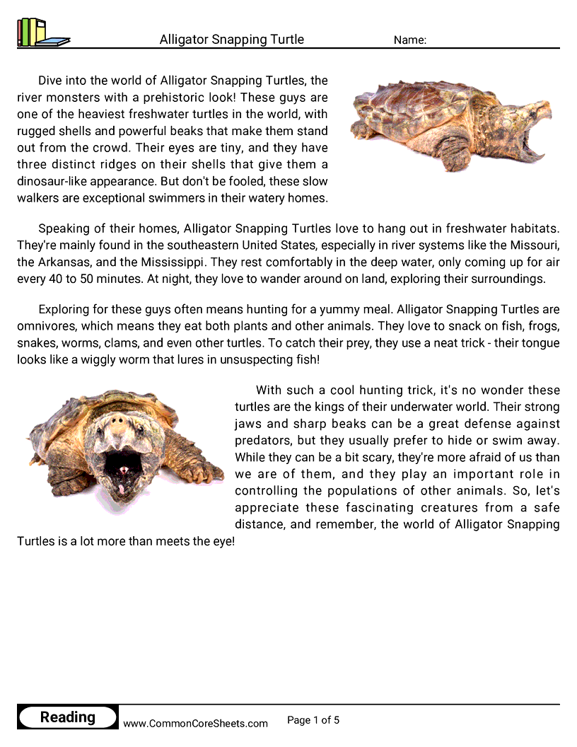 Reading Comprehension Insects And Spiders Worksheets - alligator-snapping-turtle worksheet