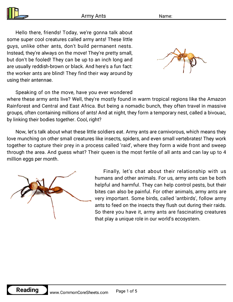  - army-ants worksheet