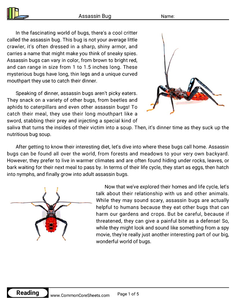  - assassin-bug worksheet