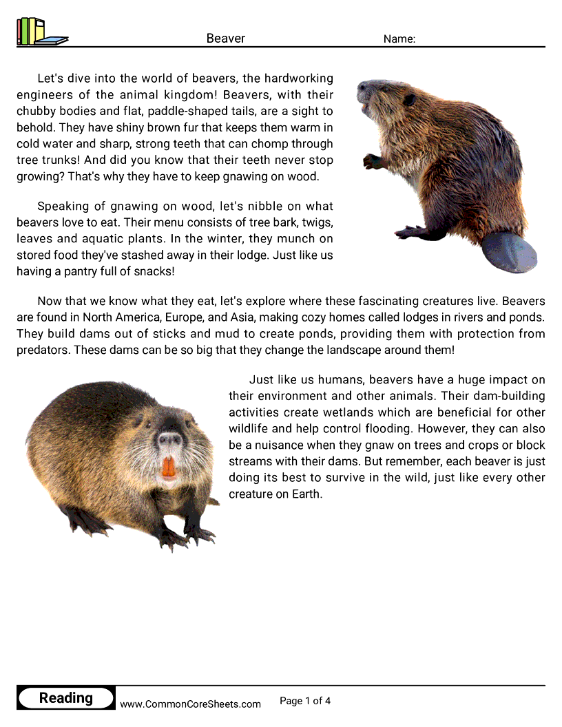 Reading Comprehension Mammals - beaver worksheet