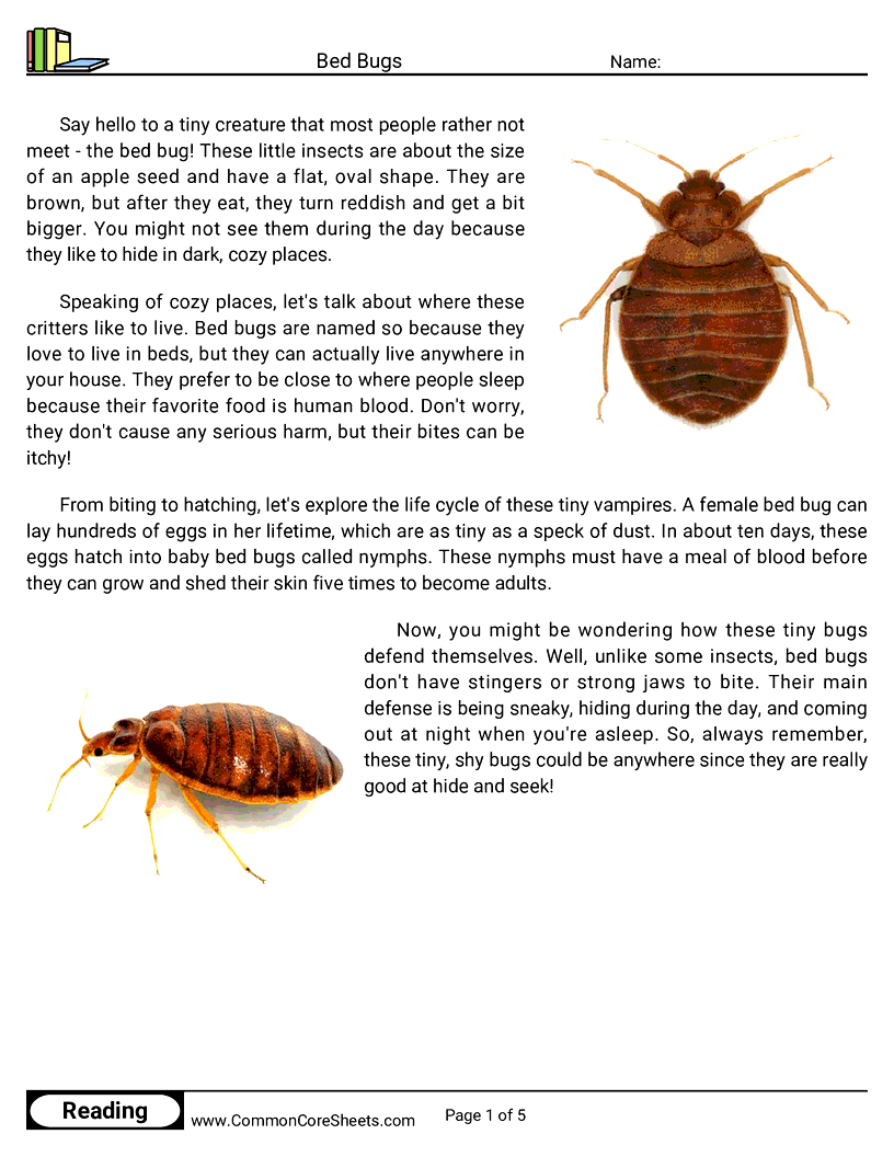  - bed-bugs worksheet