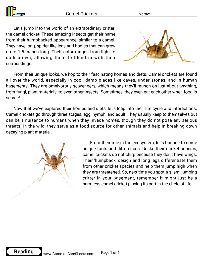  - camel-crickets worksheet