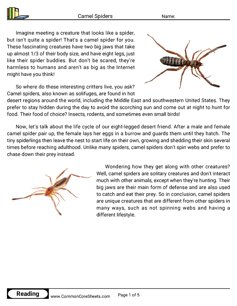  - camel-spiders worksheet