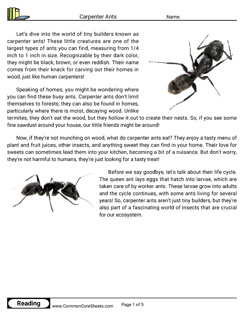  - carpenter-ants worksheet
