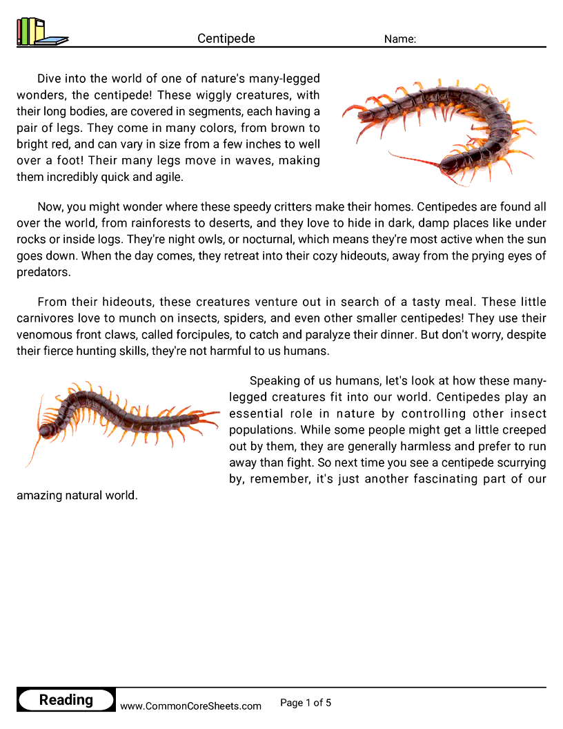  - centipede worksheet