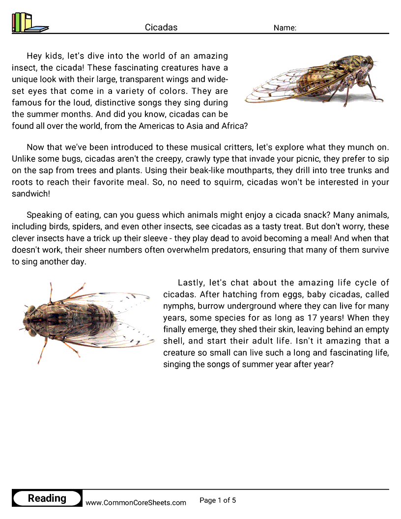  - cicadas worksheet