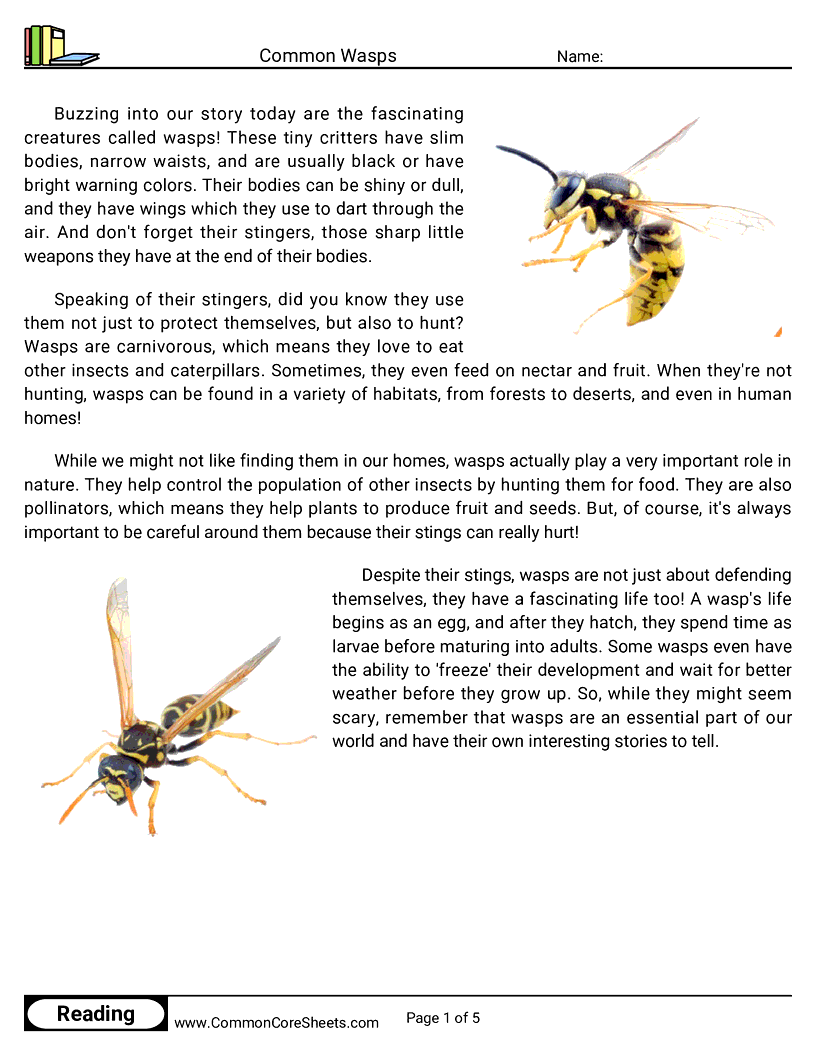  - common-wasps worksheet