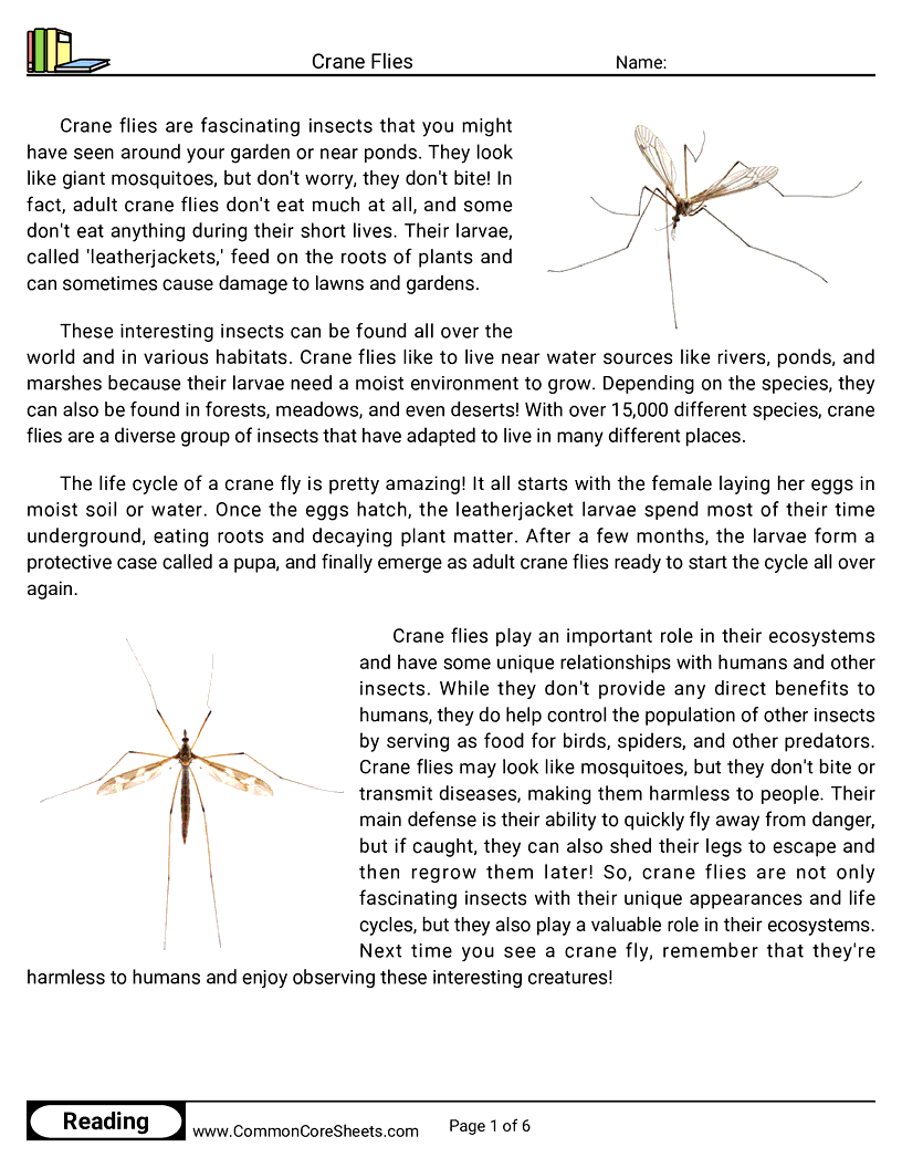  - crane-flies worksheet