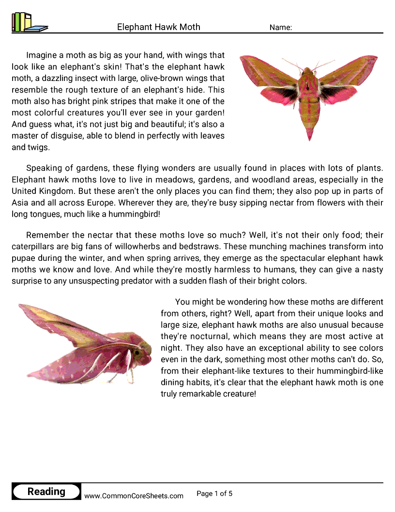 - elephant-hawk-moth worksheet
