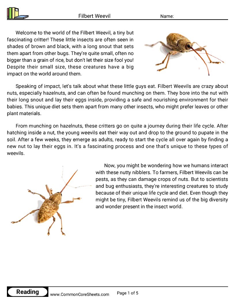  - filbert-weevil worksheet