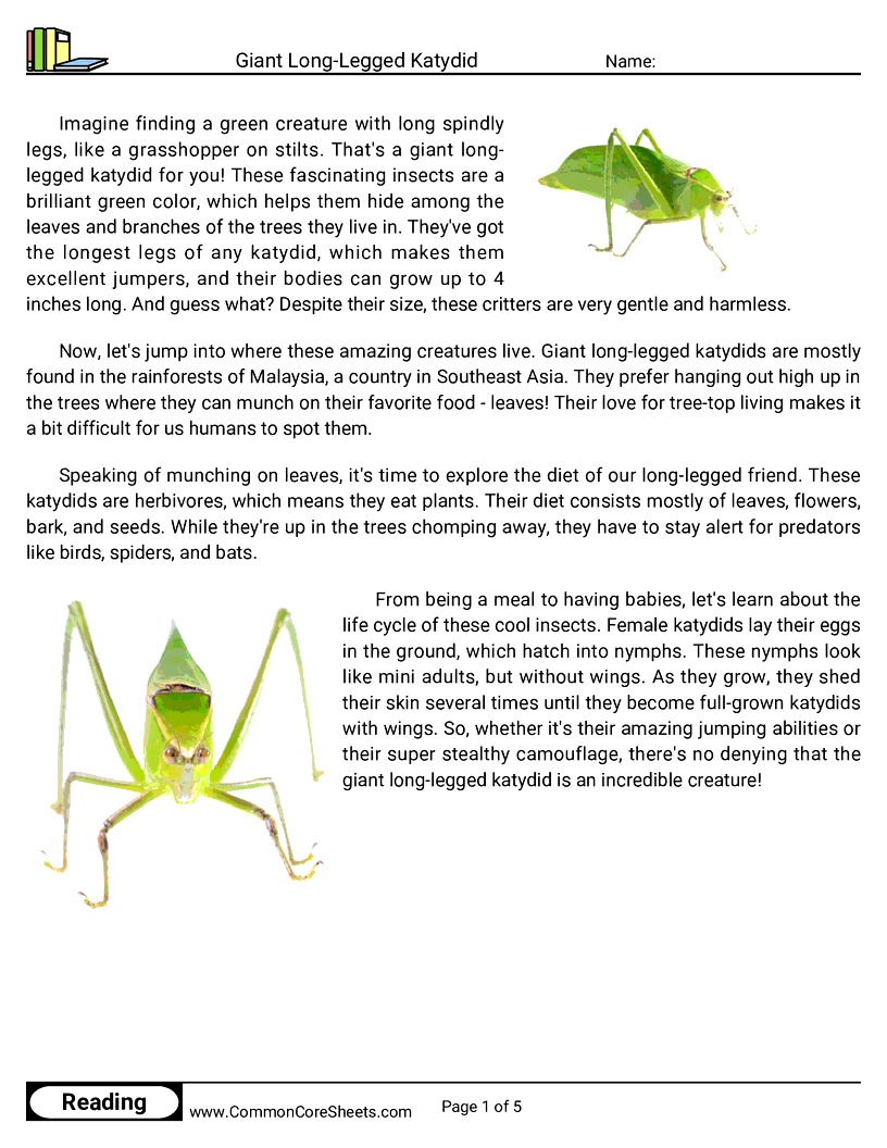  - giant-long-legged-katydid worksheet