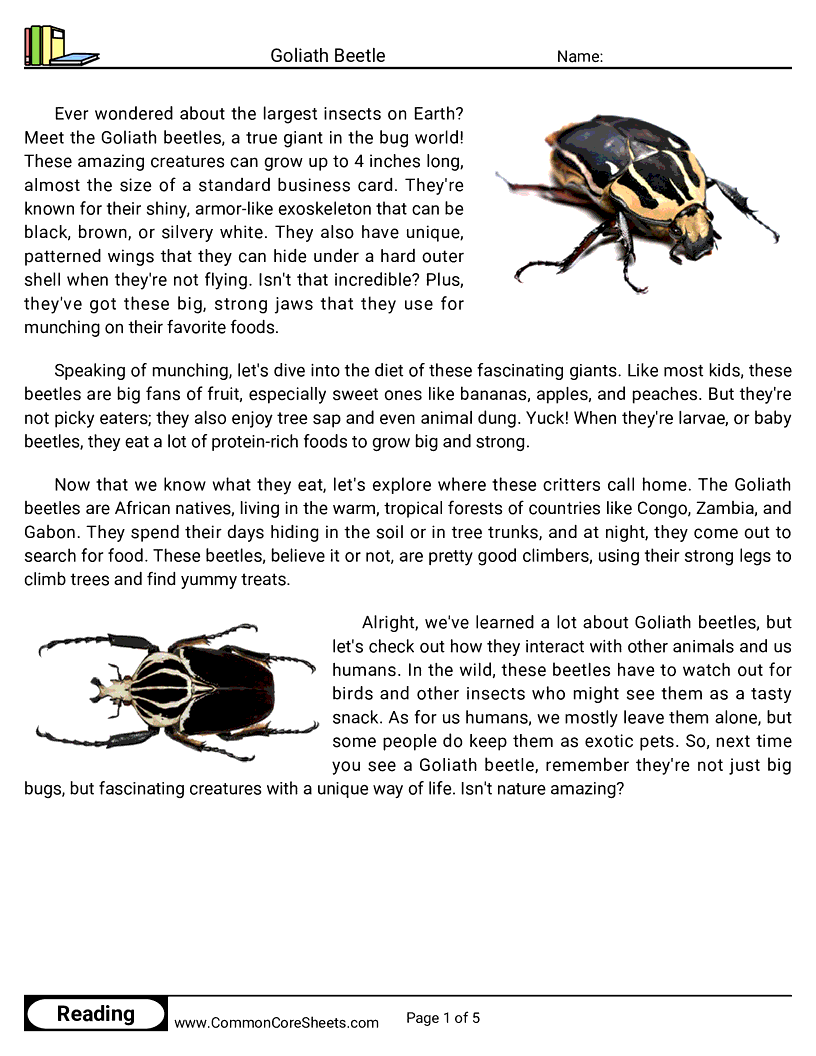  - goliath-beetle worksheet