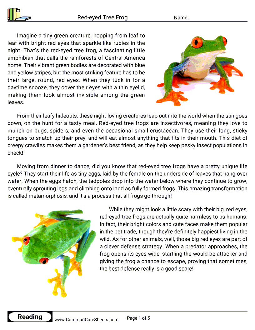 Reading Comprehension Insects And Spiders Worksheets - red-eyed-tree-frog worksheet