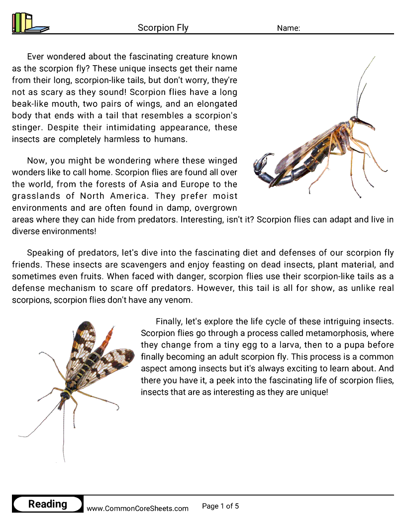 - scorpion-fly worksheet