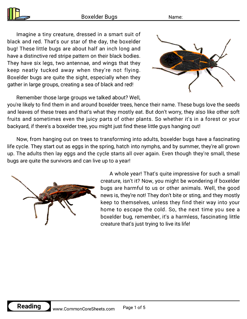  - boxelder-bugs worksheet