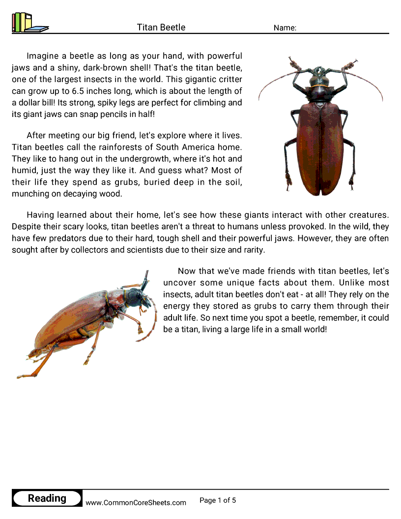  - titan-beetle worksheet