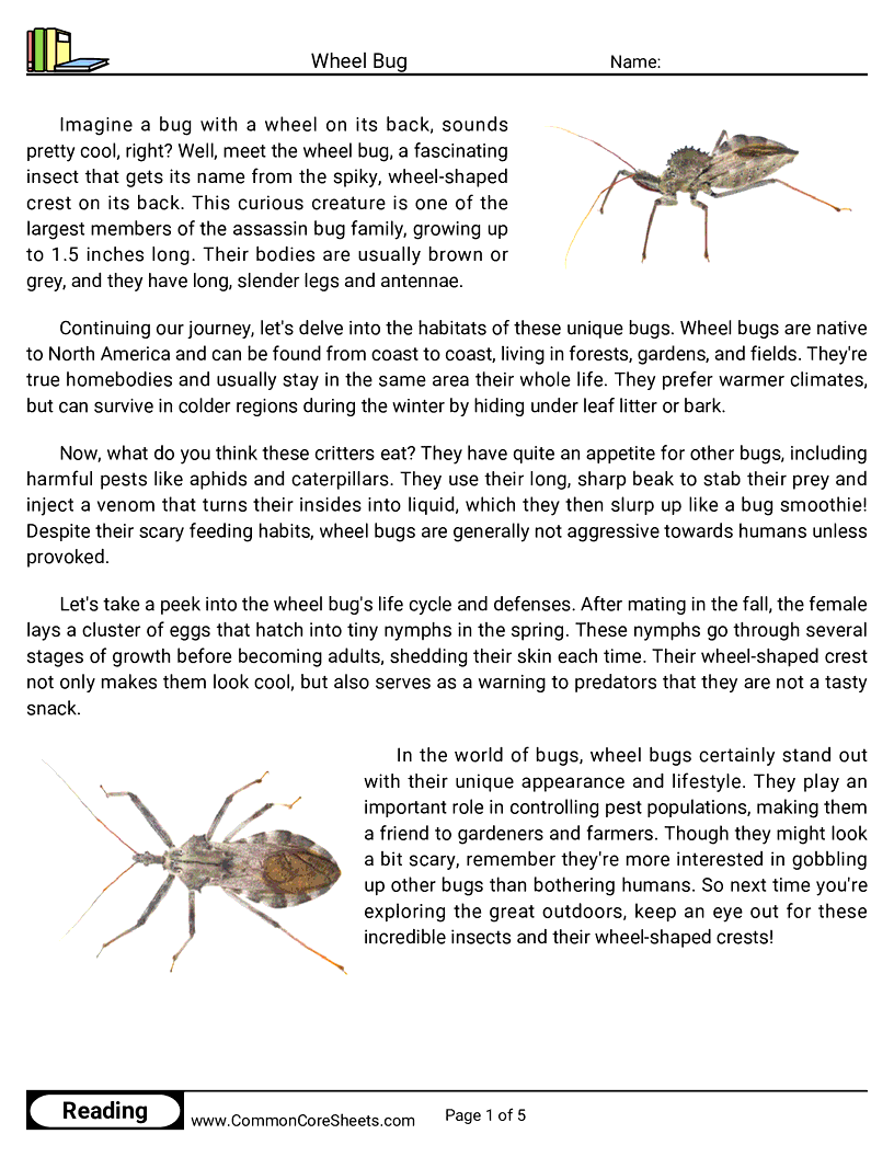  - wheel-bug worksheet